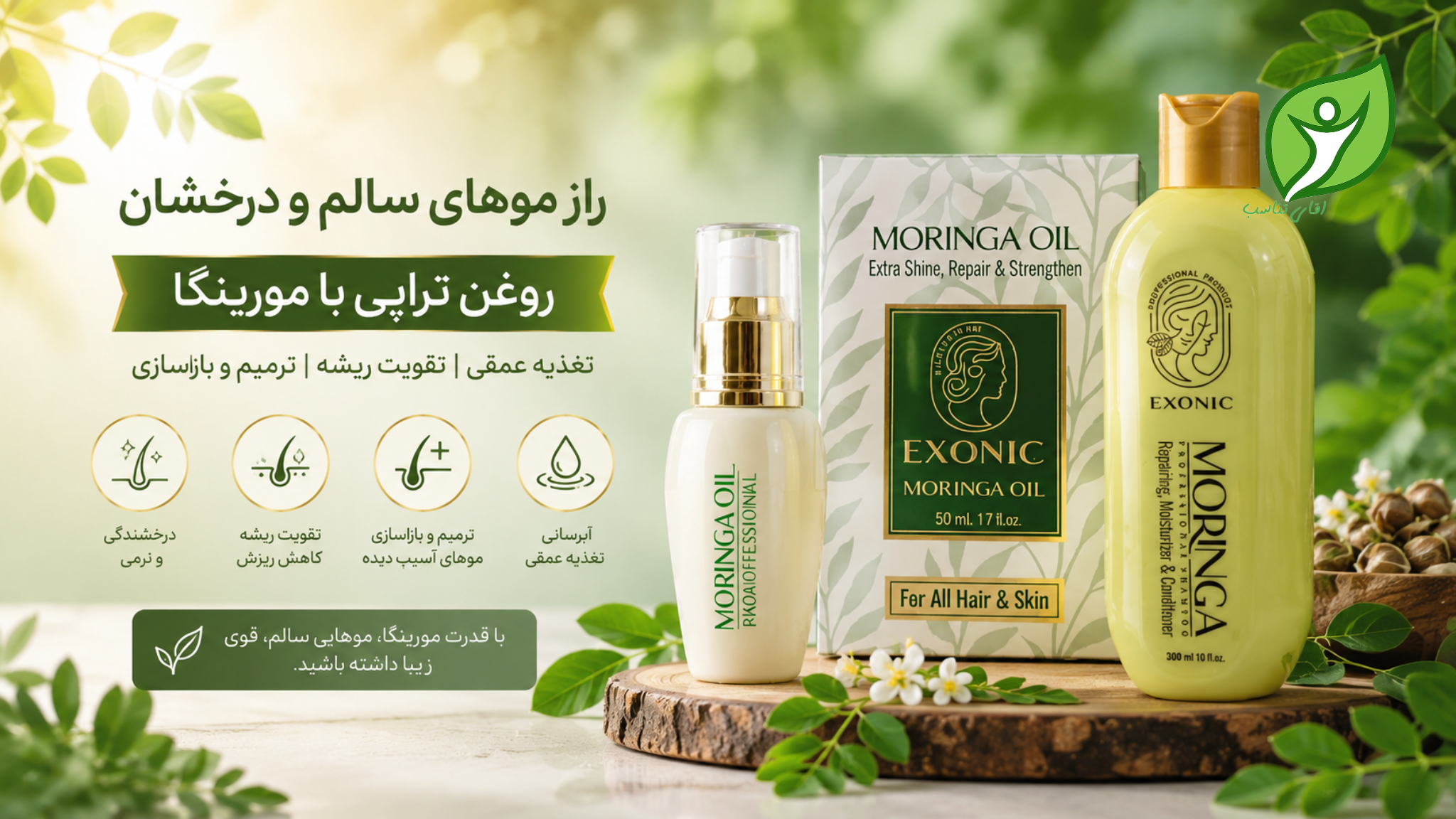 روغن تراپی با مورینگا چیست؟ خواص روغن مورینگا و شامپو مورینگا برای داشتن موهایی سالم و درخشان
