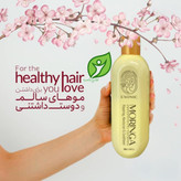 پک تقویت مو مورینگا اکسونیک ( شامپو مورینگا+عصاره مورینگا)